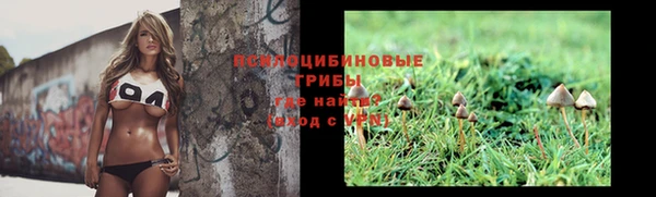 ГАЛЛЮЦИНОГЕННЫЕ ГРИБЫ Алексин