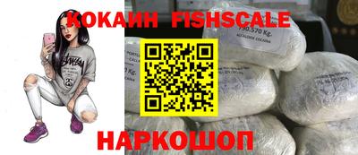 шишки Дмитров