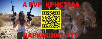 шишки Дмитров