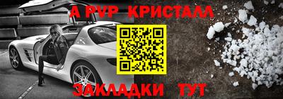 шишки Дмитров