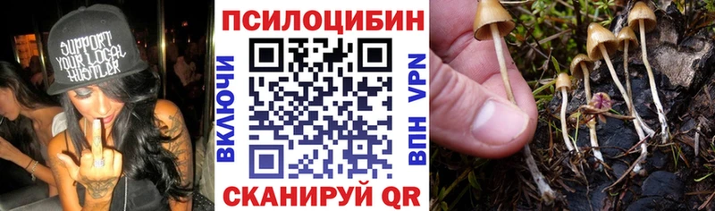 Галлюциногенные грибы ЛСД  Балахна 