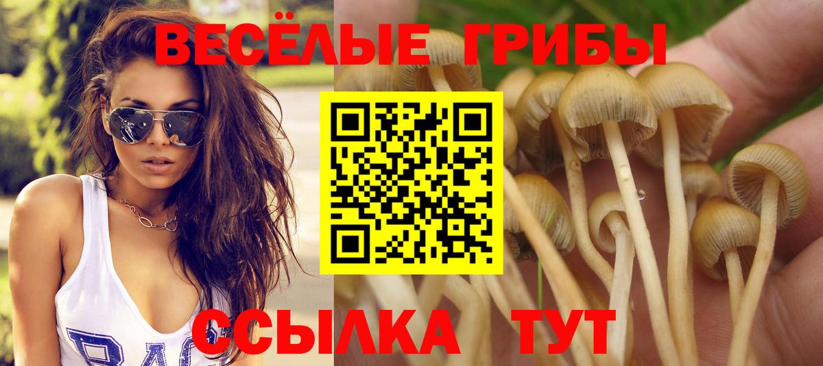 закладка  Вход с VPN  Балахна  Галлюциногенные грибы мицелий 